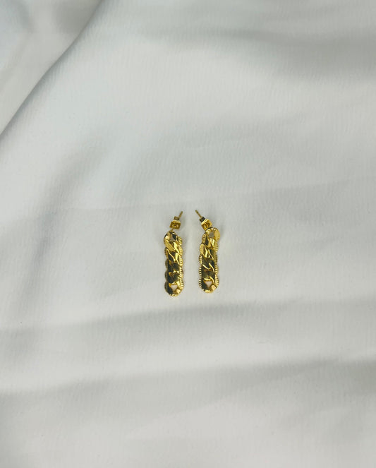 Serpiente de bucle de oreja